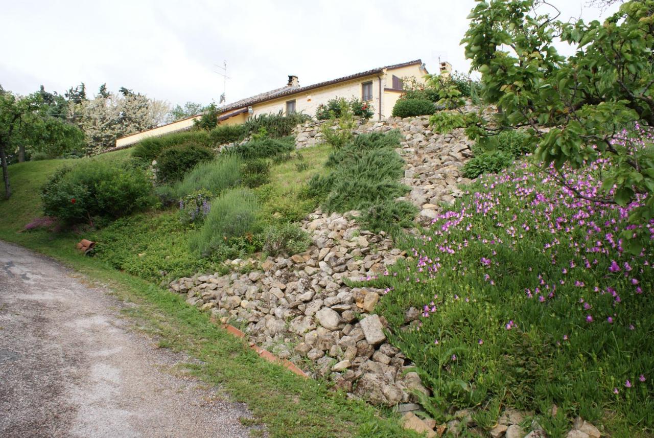 فانو B&B Salvarosa المظهر الخارجي الصورة