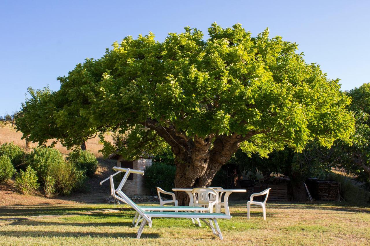 فانو B&B Salvarosa المظهر الخارجي الصورة